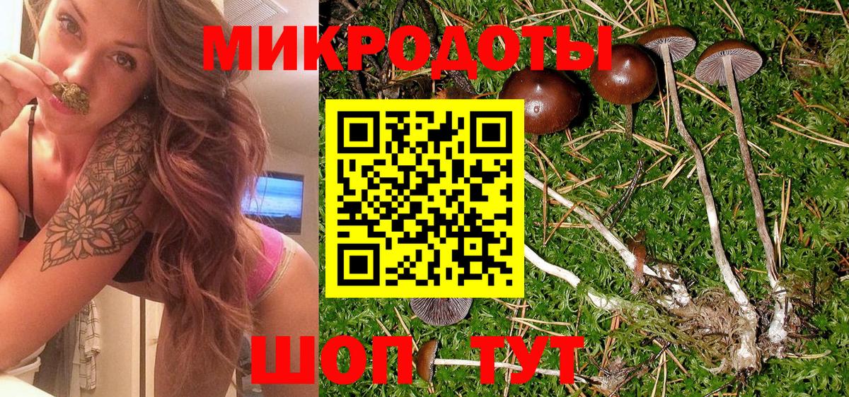 Галлюциногенные грибы прущие грибы Боровичи