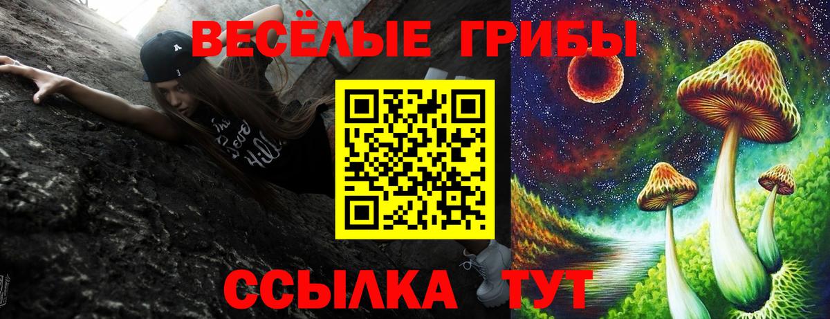 Галлюциногенные грибы прущие грибы  Галлюциногенные грибы Psilocybine cubensis  Вход с VPN  Боровичи 
